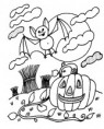 /album/carodejnice-a-halloween/dyne-a-netopyr-jpg/